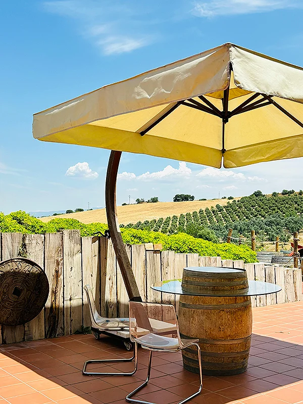 SzőlőfajtaLand Experiences Borrues - html5 template