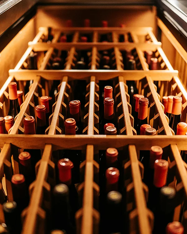 SzőlőfajtaLand Borry